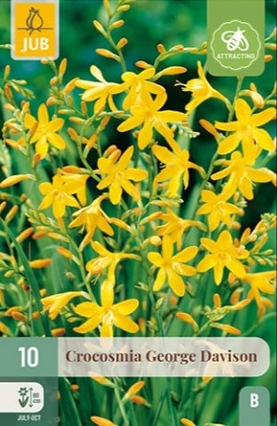 Montbretie George Davison