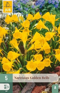Narcissus Golden Bells kaufen, click for more details Narcissus Golden Bells