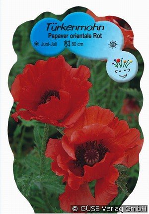 Garten-Mohn