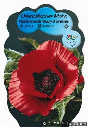 Gartenmohn