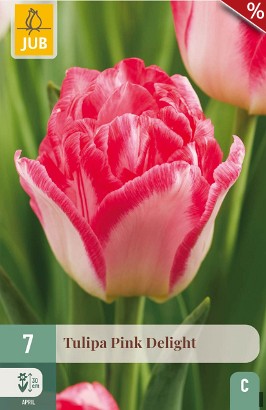Pink Delight