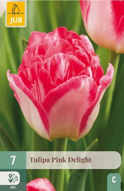 Pink Delight