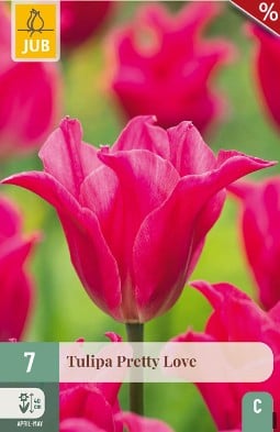 Pretty Love kaufen, click for more details Pretty Love