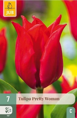 Pretty Woman kaufen, click for more details Pretty Woman