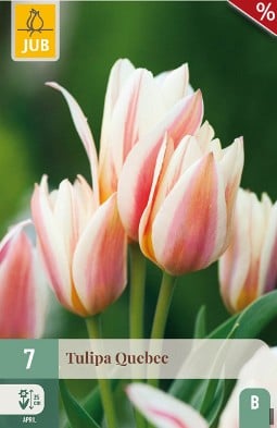 Quebec kaufen, click for more details Quebec