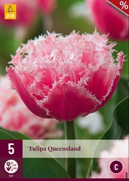 Queensland