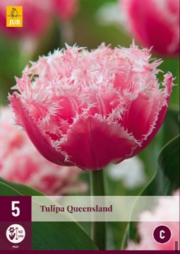 Queensland