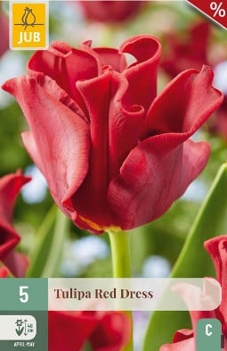 Red Dress kaufen, clicken für mehr Details Red Dress