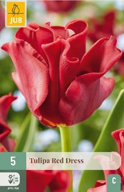 Red Dress kaufen, click for more details Red Dress