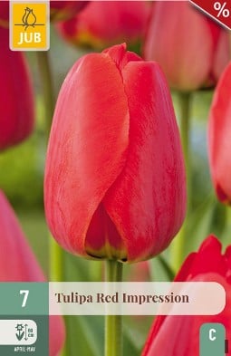 Red Impression kaufen, clicken für mehr Details Red Impression