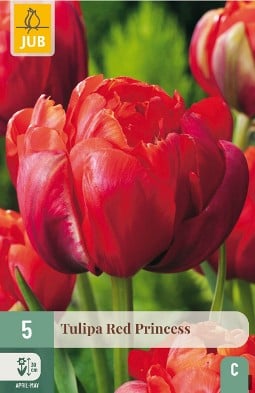 Red Princess kaufen, click for more details Red Princess