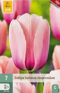 Salmon Impression kaufen, clicken für mehr Details Salmon Impression