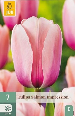 Salmon Impression kaufen, clicken für mehr Details Salmon Impression