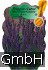 Garten-Salbei kaufen
