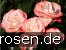 Auf die Freundschaft