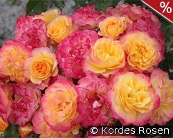 Landlust kaufen, click for more details Landlust