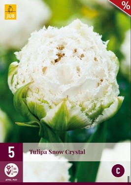 Snow Crystal