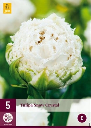 Snow Crystal