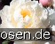Gardenia
