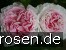 Gartenträume
