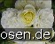 Vanilla Meidiland