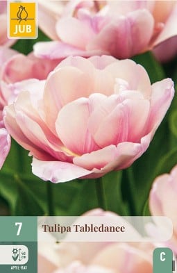 Tabledance kaufen, clicken für mehr Details Tabledance