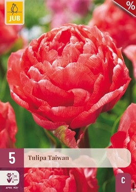 Taiwan