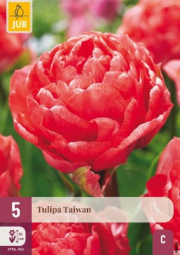 Taiwan