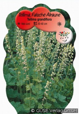 Tellima