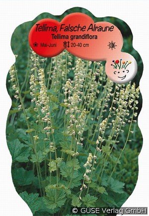Tellima