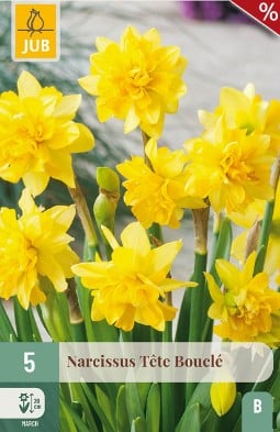 Tete Bouclé kaufen, clicken für mehr Details Tete Bouclé