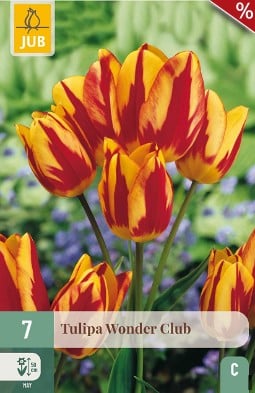 Wonder Club kaufen, click for more details Wonder Club