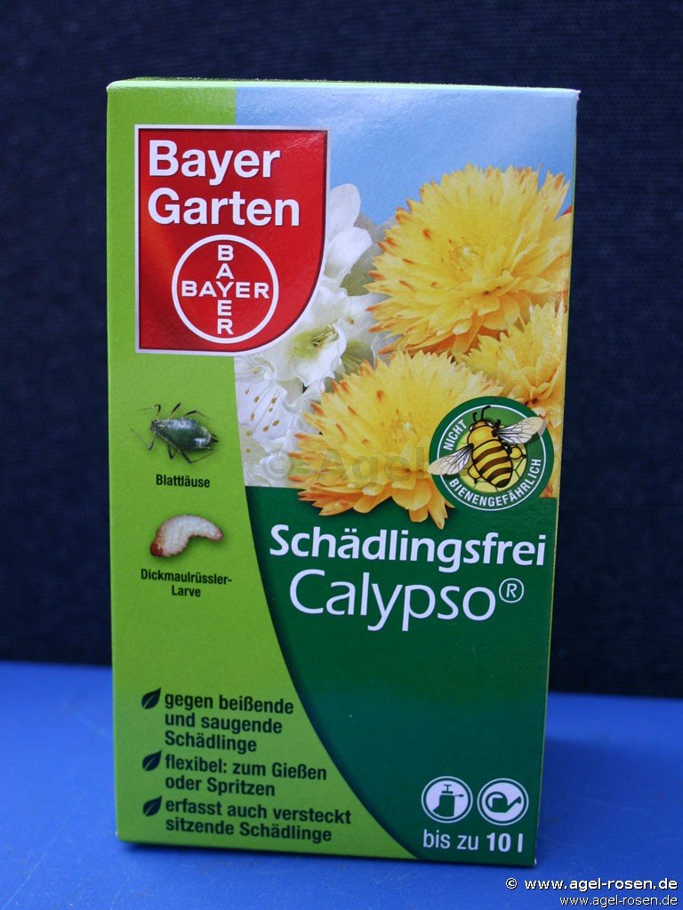 Bayer Schadlingsfrei Calypso Bei Agel Rosen Kaufen