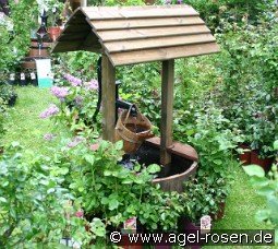 Brunnen Put1 Lieferung innerhalb von 3 Wochen