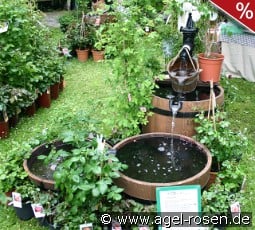 Brunnen WP5 Lieferung innerhalb von 3 Wochen