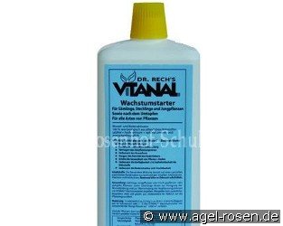 Vitanal Wachstumsstarter 1 Liter