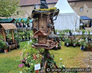 Vogelparadies Harry Potter