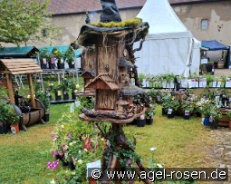 Vogelparadies Harry Potter