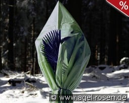 Winterschutz Dittmann 'L'