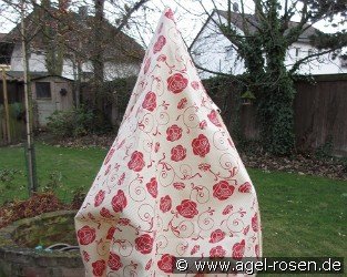 Winterschutz Dittmann 'M'