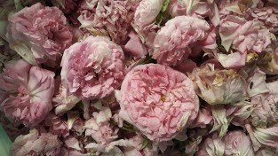 Ispahan