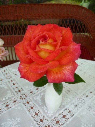 Parfum de Grasse