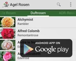 Agel Rosen Android App