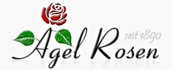 Agel Rosen Mobile