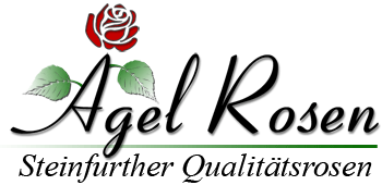 Agel Rosen Logo